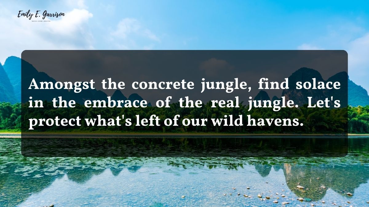 Beautiful slogans on nature for Instagram