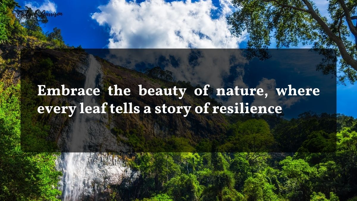 Beautiful slogans on nature to celebrate nature's beauty